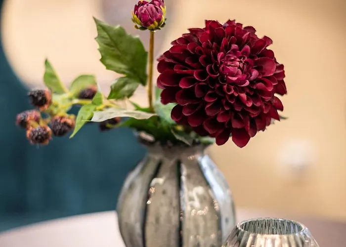 Altstadthotel Wolf-dietrich Hotel Salzburg